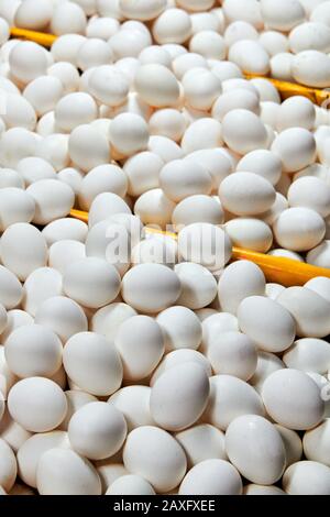 Nahaufnahme von Haufen unsortierte weiße Eier zum Verkauf auf dem nassen Markt in Iloilo, Philippinen, Asien. Eier in Display mit bunten Trennblättern. Stockfoto