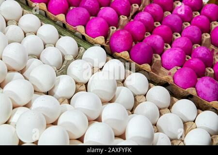 Weiße Eier neben rot gefärbten, gedämpften, salzigen Eiern in Papierfächern zum Verkauf auf einem nassen Markt in Iloilo, Philippinen, Asien. Diagonale Anzeige. Stockfoto