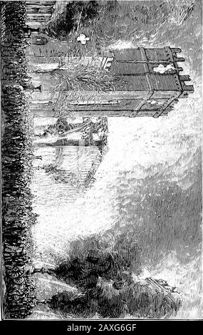 Phillips Brooks: Der Mann, der Prediger und der Autor, der auf der "Schätzung" basiert. M,.&gt;!. Stockfoto