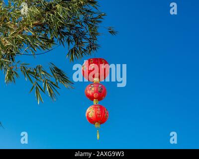 Rote chinesische Laternen an Bambusbaum auf blauem Himmelshintergrund, Dekoration für chinesisches Neujahr. Der Text auf der Laterne ist als Grußwort gedacht. Stockfoto