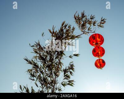 Rote chinesische Laternen an Bambusbaum auf blauem Himmelshintergrund, Dekoration für chinesisches Neujahr. Der Text auf der Laterne ist als Grußwort gedacht. Stockfoto