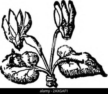 Phillips Brooks: Der Mann, der Prediger und der Autor, der auf der "Schätzung" basiert. 11cu319244029458928 Stockfoto