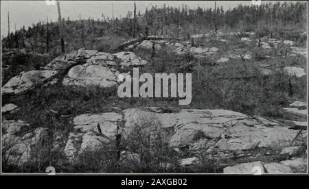 Geologie . k. M Abb. 491 .-EINE polierte Felsoberfläche im Bronx Park, X. Y. (Willis, US Geol. Anzug.). Abb. 492.-Roches moutonnees. PLEISTOZÄNS ODER GLAZIALPERIODE. 353 Felsformationen und Topografie. Aus seiner physischen Form weiß man, dass die Agentur oder die Agenturen, die sie hergestellt haben, beenable haben müssen, an einem Ort und zu einem Zeitpunkt Materialien zu tragen und zu lagern, die als feinster Schlick oder Schlamm asfein sind, Und bowlders viele Tonnen im Gewicht, während sie unter anderen Umständen kompetent waren, um Depotsder weitaus weniger extremen Vielfalt zu machen. Aus ihrer lithologischen Struktur und aus der Natur der feineren PA Stockfoto