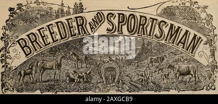 Züchter und Sportler . Für FIELD and TRAP SHOOTINGHold All The Best Records None So Gut GETRAGEN VOM BESTEN HANDEL SELBY SCHMELZEN & LEAD CO., San Francisco. ?&lt;-.. VOLUMEN LIV. Nr. 10. SAN FRANCISCO. SAMSTAG. MÄRZ. Im Jahr 1909. Abonnement: 3,00 Usd Pro Träne. Stockfoto