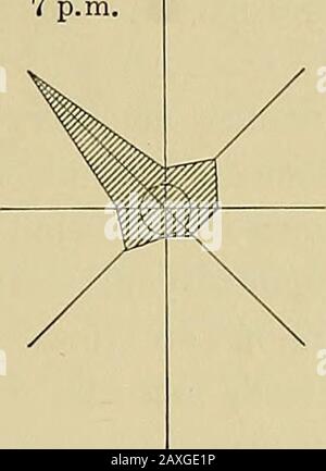 Die Anden im Süden Perus. Abb. 100-Wind-Rosen für Machu Piccliu, 20. August bis 6. November 1912. Unteres Tal); daher wird ein barometrischer Gradient zum Berghang festgestellt. Bei Machu Picchu befindet sich der Canyon von Torontoytrends in nordwestlicher Richtung, was eine scharfe Abbiegung von einer gleichscharfen Nordostbiegung direkt flussaufwärts bedeutet. Die östlichen Bauteile sind nicht mit der Topografie verwandt. Sie repräsentieren die Gewerke. Die Windrose der IFA wurde noch in den frühen Morgenstunden hergestellt, da diese Windswürden treuer dargestellt werden. Dass eine östlichste und keine südöstlichste Richtung gleichsam b sein sollte Stockfoto