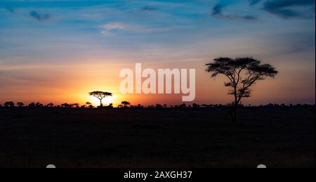 Sonnenuntergang verblasst auf der Serengeti. Der letzte der erstaunlichen Himmel ist fast verschwunden. Stockfoto
