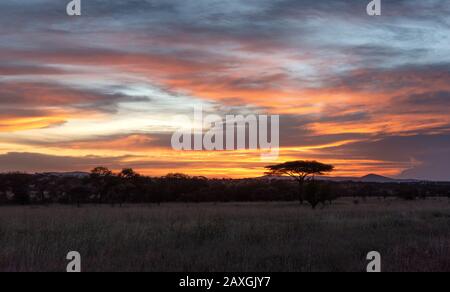 Die Sonne geht über die Serengeti-Ebenen Stockfoto