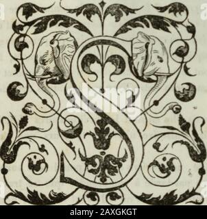 Die Histoire de Lille et de la Flandre wallonne . UE les peuples et les lois ont si luveultracées sur If sol de cette province, tantôt avec leur épée cl leur sang, tantôtavec le scepter et les traités; ET nous en tenir un Instant à la limite naturellequi sépare la Flandre des pays limitrophes* Après avoir expos"; divers considérations géologiques, nous cherchers iformler quelques propositions sur les Premiers peuples qui ont babilcontrées; Nous tâcherons de constater leur origine, leurs voyages, lescatastro-plies qui les ont amenés ou les ont fait disparaître. Enfin, pour compléter, autantq Stockfoto