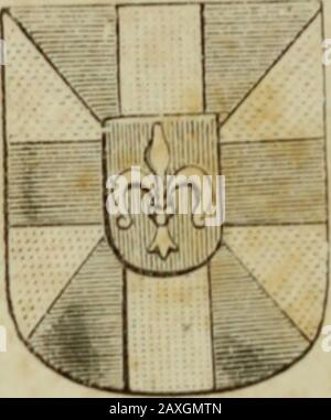 Histoire de Lille et de la Flandre wallonne. Àhistoiredelillee00dero Stockfoto