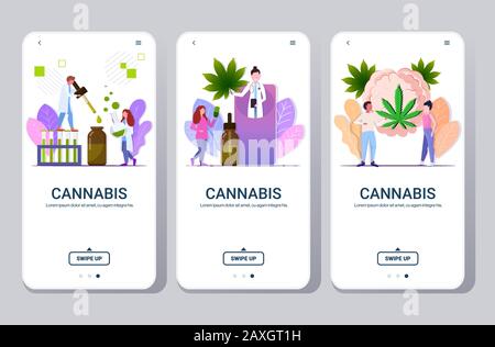 Stellen Sie Leute ein, die cbd-Hanföl in der Nähe des Gehirns testen, mit dem Konzept des Cannabisblatt-Drogenkonsums mobile App Smartphone-Bildschirme flache horizontale Kopie Raum Vektor Illustration in voller Länge sammeln Stock Vektor