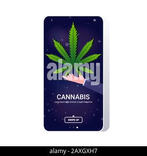 Human Hand hält Cannabis Marihuana Blatt Hanf Pflanze Drogenkonsumkonzept Mobile App Smartphone Bildschirm Kopie Raum Vektor Illustration Stock Vektor