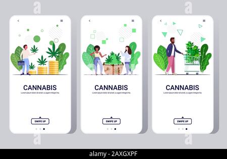 Set People Eating Cannabis Cookie Buying Medical Marihuana Hanf Plants Growing Business Drug Consumption Concept Mobile App Smartphone Screens Collection Full length horizontal copy Space Vector Illustration Stock Vektor