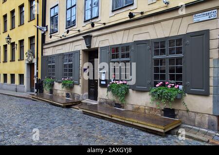 Stockholm / Schweden - 23. Juni 2012: Einige Blumen in Stockholm, Schweden Stockfoto