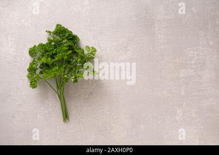 Fenchelbirnen, Lichtstein, Blätter, Kartoffelkeile, gebackene Kartoffel, italienische Petersilie, Kopierraum, getrocknetes Gras, Petersilie, Koriander Stockfoto