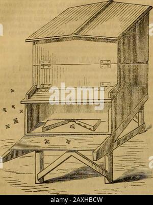 Journal of Horticulture, Cottage Gärtner and Country Gentlemen . und! Wie es gemanagt wird. Wir haben uns einige Mühe gegeben, Informationen über diese Punkte zu sammeln, und wir werden jetzt die Ergebnisse unserer Untersuchungen in der Hoffnung geben, dass sie vielleicht für die Absicht oder die tatsächlichen Bienenhalter von Dienst sind. Hier zeigt Wepend zwei Abbildungen eines Bienenstocks, der, ohne die Behauptung, es sei absolut die beste Existenz, zu vertreten, ohne zu zögern eine gute und im großen und ganzen die beste, die unsere Beobachtung durchgemacht hat, ausspricht. Er wird von Herrn P. A.Scott, einem genialen Mechaniker von Tor, hergestellt Stockfoto