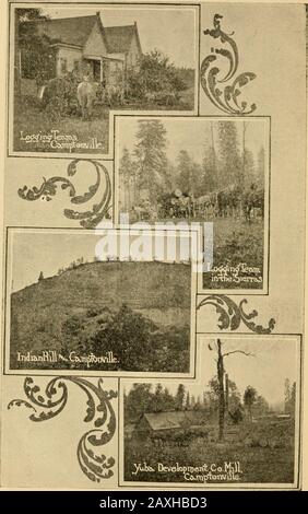 Yuba County, Kalifornien; seine Ressourcen und Vorteile. holl-eigenschaft, 59.450 USD. Topografie und Boden. Yuba County ist etwa ein halbes Tal und ein halbes Bergland, mit dazwischen liegenden Fußhügeln. Er wird im Norden von Honcutcreek begrenzt, im Süden von Bear River, im Theisesten vom Feather River und im Osten von der Sierra Nevada Range of Mountains. Es grenzt an die Counties of Sutter, Placer, Nevada, Sierra, Butte und Plumas. Der Fluss Feather durchquält die meiste westliche Grenze torreich auf etwa 25 Meilen über die richbottom Länder. Es ist der zweite große Fluss im Sacramento Valley, an Stockfoto