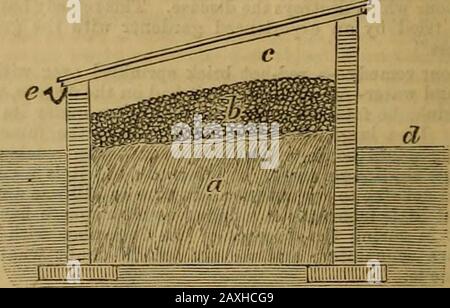 Journal of Horticulture, Cottage Gärtner and Country Gentlemen . , ChimaphUamaculata,C. oorymbosa, Drosera filiformis, Hypoxis erecta, Sarraceniapurpurea. Orchis spectabilis, mehrere Arten von Cypripedium, SECHS Arten von Viola, darunter V. hinceolata, und V. sao^ittata, Goodyera pubescens, &c Es wird erwartet, dass Herr Hobson bei der nächsten Sitzung der Gesellschaft anwesend sein wird, um Hiserfahrungen persönlich zu melden. Der Honorary Secretary kündigte die jüngste Entdeckungstour in Nordwales durch Mi- an. Bruce Findley (Botanic Gardens, Manchester), einer riesigen Anzahl von Pflanzen von Aspleniumtrichomanes ramosum, viele Stockfoto