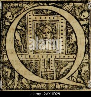 Americae pars qvinta Nobilis & admiratione plena Hieronymi Bezoni Mediolanensis, secundae sectionis hiãHispanorum: tùm in Nigrittas seruos suos, tùm in Indos crudelitatem, Gallorumq pirataru de Hispanis tobies reportata spolia: Aduentu Item Hispanoru in Nouam Indiae continentis Hispaniam, eorumq contra incolas eius regions saeuitiam explicans addita ad singula fere capita scholia, in quibus res Indiae luculenter exponuntur : accessit praeterea tabula chorographica nouae hispaniae in India Occidentalj: aes is a. CERATVM, INTEGRVM Stockfoto