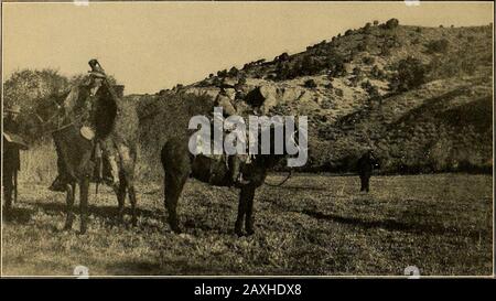 Outing. 74 DAS OUTING-MAGAZIN The Jordan. Dies würde das gesamte Seewalter direkt in den See tragen, anstatt es über die Lehmflächen als Geschenk zu verteilen. Meine beiden Pferde, Herz und Knopf, waren fett und frisky und in splendidshape, als ich Herz, PackedButton, sattelte und nordwärts drehte, en routeto Idaho und Wyoming. Mein Zucchino führte mich direkt durch Salt Lake City, Die nahen Berge, in denen sie sich ausbreiteten, um Platz für das Tal zu schaffen, mit Grün und Gelb belohnt; wo sie wieder zusammen ziehen, auf der Oppo-Seite des Tals, hatte der eingreifende Herbst-Dunst ihnen ein heikles, opalescen Prickeln lassen Stockfoto