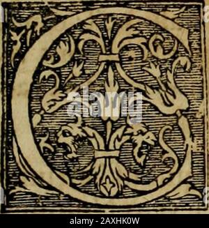 Americae pars qvinta Nobilis & admiratione plena Hieronymi Bezoni Mediolanensis, secundae sectionis hiãHispanorum: tùm in Nigrittas seruos suos, tùm in Indos crudelitatem, Gallorumq pirataru de Hispanis tobies reportata spolia: Aduentu Item Hispanoru in Nouam Indiae continentis Hispaniam, eorumq contra incolas eius regions saeuitiam explicans addita ad singula fere capita scholia, in quibus res Indiae luculenter exponuntur : accessit praeterea tabula chorographica nouae hispaniae in India Occidentalj: aes is a. OVA CROCODILORVM E Stockfoto