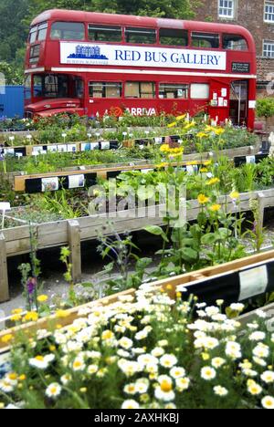 Gartengeschäft und Doppeldeckerbus, Burton Agnes Hall, Driffield, East Yorkshire Stockfoto