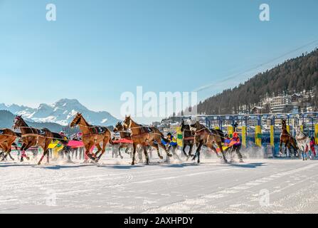 Startszene des Skijöring-Rennens während des White Turf 2020 in St.Moritz, Schweiz Stockfoto