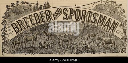 Züchter und Sportler . Für FIELD and TRAP SHOOTINGHold All The Best Records None So Gut GETRAGEN VON DER BESTEN HANDELSSCHMELZE & LEAD CO., San Francisco. VOLUMEN LIV. NR. S. SAN FRANCISCO, CAL., SAMSTAG, 20. FEBRUAR 1909. Abonnement: 3,00 Usd Pro Jahr. Stockfoto