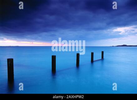 Guernsey. Vazon Bay Groynes mit Fernblick auf Fort Hommet. Stockfoto