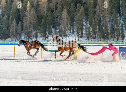 Skijöring-Rennen während des White Turf 2020 in St.Moritz, Schweiz Stockfoto