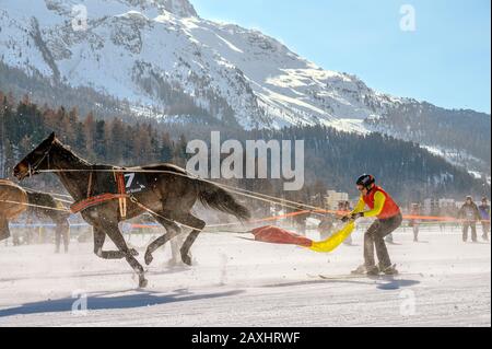 Skijöring-Rennen während des White Turf 2020 in St.Moritz, Schweiz Stockfoto