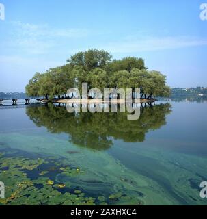 Insel der Liebe am See. Park in Ternopil (Ternopol). Stockfoto