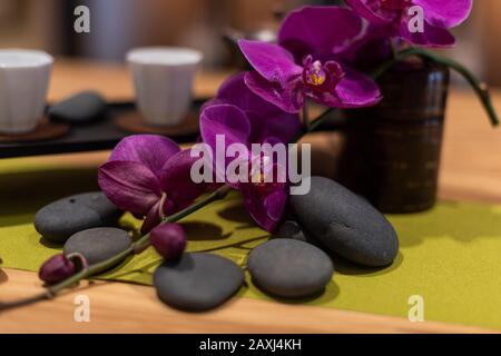 Zen-Hintergrund mit Orchidee und Kieselsteinen eingerichtet Stockfoto