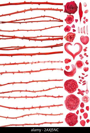 Valentins-Set mit phtotographierten Rosenstämmen mit roter Farbe und auch Aquarellversionen von ihnen, Spritzer, Petalen, Herzen, einer Feder und anderen Egeln Stockfoto