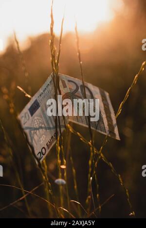 20 Euro im Gras bei Sonnenuntergang. Finanz- und Wirtschaftskonzept. Stockfoto