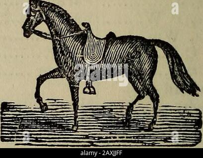 Handbuch und Verzeichnis der Grafschaften San Luis Obispo, Santa Barbara, Ventura, Kern, San Bernardino, Los Angeles & San Diego, mit einer Liste der Postämter der Pazifikküste .. . Anson CEOSS, DRITTE STRASSE NORD, WEST DES FRANZÖSISCHEN HOTELS, iaMle und dawlaa?® Mmwmmm, Und Fahrzeuge aller Art zu Lassen. Meine Ställe gehören zu den größten und besten, die im Staat angeordnet sind. Teamsters und andere finden die geräumigen Schuppen und Korralen daneben, den größten Komfort. Heu und Grain werden ständig zum Verkauf zu den niedrigsten Preisen, Großhandel und Einzelhandel, bereitgehalten. VERZEICHNIS VON KERN COUNTY. 225 Name. Hud Stockfoto