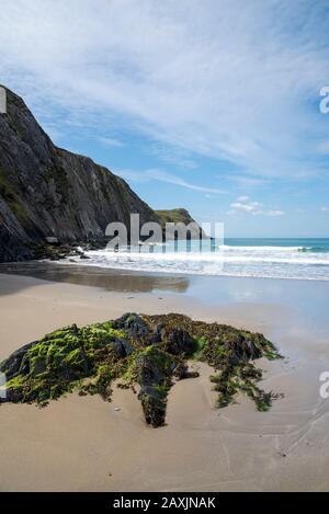 Traeth Llyfn Strand in der Nähe von Abereiddy, Pembrokeshire, Wales. Stockfoto