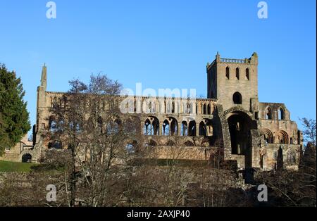 Blick auf die Ruinen der Jedburgh Abbey in Jedburgh, Scottish Borders, Schottland an einem sonnigen Februartag 2020. Stockfoto