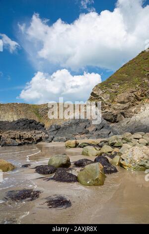 Traeth Llyfn Strand in der Nähe von Abereiddy, Pembrokeshire, Wales. Stockfoto