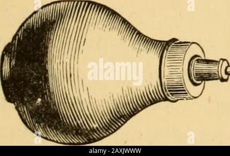 Erkrankungen der Kehle und der Nasenwege; Eine Anleitung zur Diagnose und Behandlung von Affektionen des Pharynx, des Sophragus, der Luftröhre, des Kehlkopfes und der Narben. Fundstelle, mit Ausnahme von isolierten Stellen des Totuchs und um zu verhindern, dass das Nitrat sich in den Geweben und darüber so weit ausbreitet, wie es in Lösung angewendet wird. Das Sulfat von Zink wird im Verhältnis von dreißig bis sechzig Körnern bis zur Unze verwendet. Es wurde bei diffuser Überlastung der gesamten Kehlkopfschleimhaut, und in der Regel auch bei Thetrachea als princallyeffizient gefunden. Hier, durch die Verwendung der Spritze, Stockfoto