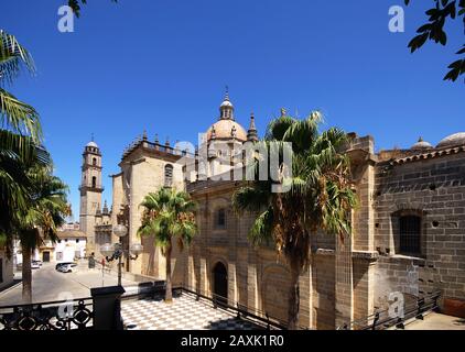 Blick auf die Kathedrale von San Salvador mit dem Turm des Palastes Marques de Bertemati auf der Rückseite, Jerez de la Frontera, Andalusien, Spanien. Stockfoto