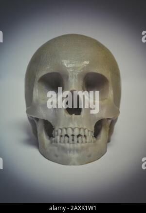 Schädel mit grauem Kunststoff auf einem 3D-Drucker bedruckt. Moderne 3D-Drucktechnologie. Stockfoto