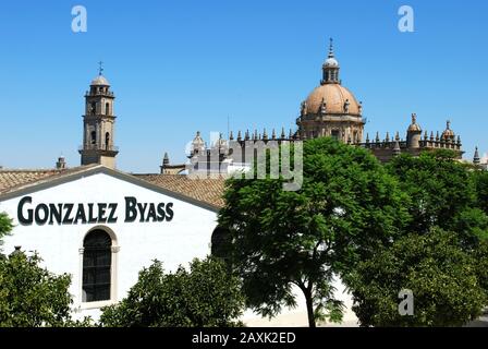 Blick auf den Gonzalez Byass Bodega mit der Kathedrale von San Salvador nach hinten, Jerez de la Frontera, Spanien. Stockfoto