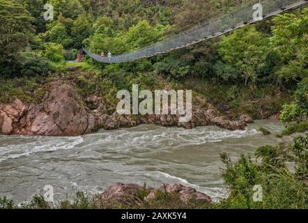 Buller Gorge Swing Bridge, Fußgängerhängebrücke über den Buller River, in der Nähe von Murchison, Tasman District, South Island, Neuseeland Stockfoto