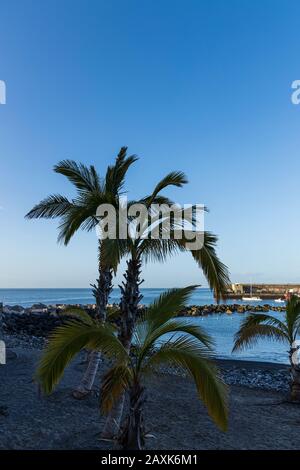 Palmen in Silhouette am Strand in Playa San Juan, auf der Insel Tenera, auf den Kanarischen Inseln, in Spanien Stockfoto