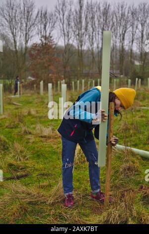 Freiwillige Kinder arbeiten mit der Aktionsgruppe "Gemeindesklima und Umwelt", die Bäume Pflanzen, um ein neues Waldgebiet zu schaffen. Devon UK Stockfoto