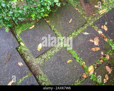 Sehenswürdigkeiten in Santana an der Wintersonnenlage von Madeira, Portugal, Europäische Union Stockfoto