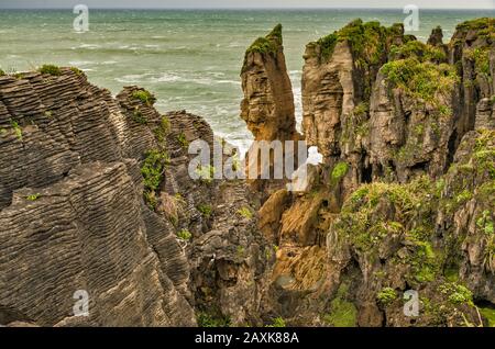 Pancake Rocks, Dolmite Point, Paparoa National Park, in der Nähe des Dorfes Punakaiki, West Coast Region, South Island, Neuseeland Stockfoto