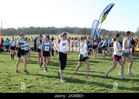 Richmond Park, Läuferinnen von Thames Hare and Hounds und Clapham Chasers für das Cross-Country-Finale der Frauen in der Surrey League 2020 Stockfoto