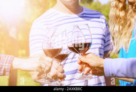 Familie unterschiedlichen Alters Menschen fröhlich feiern im Freien mit Gläser Rotwein, Toast verkünden Stockfoto