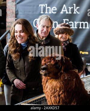 Die Duchess of Cambridge streicht bei einem Besuch der Ark Open Farm in Newtownards in der Nähe von Belfast einen Alpaka, wo sie sich mit Eltern und Großeltern traf, um ihre Erfahrungen mit der Erziehung von Kleinkindern für ihre Frühkindliche Umfrage zu besprechen. Stockfoto